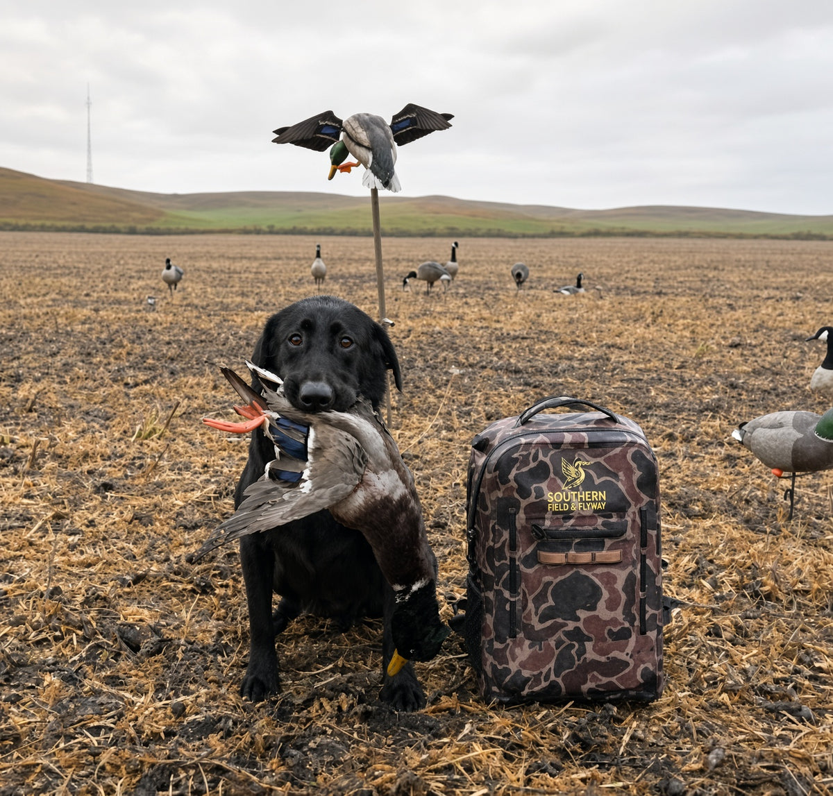 Wetland Waterproof Backpack